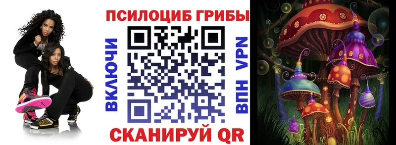 Купить где  Ивдель  Галлюциногенные грибы GOLDEN TEACHER 